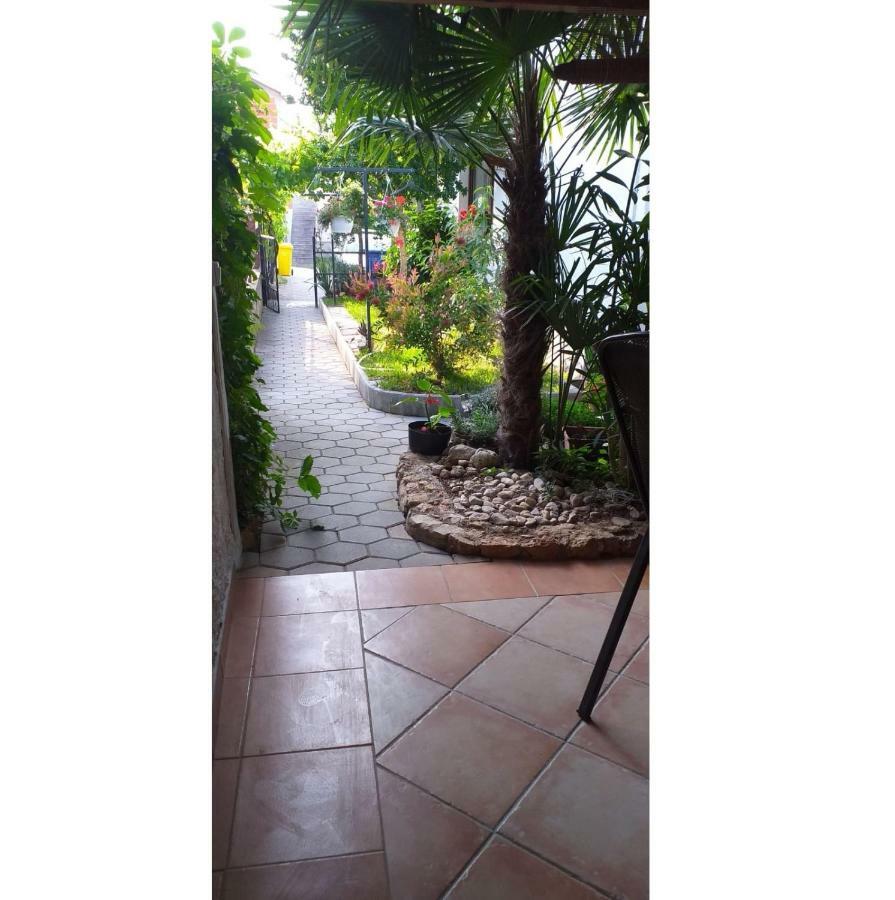 Apartman Arta