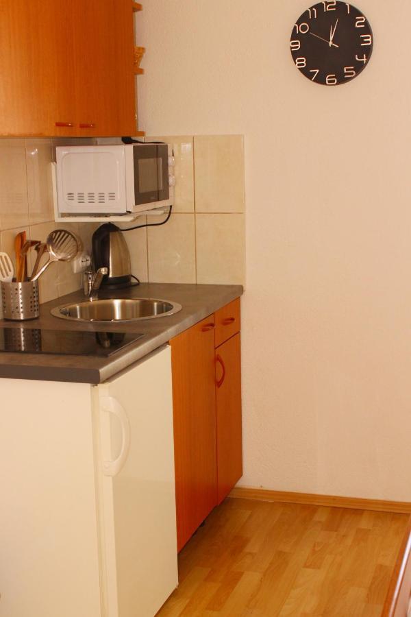 Apartament Arta *